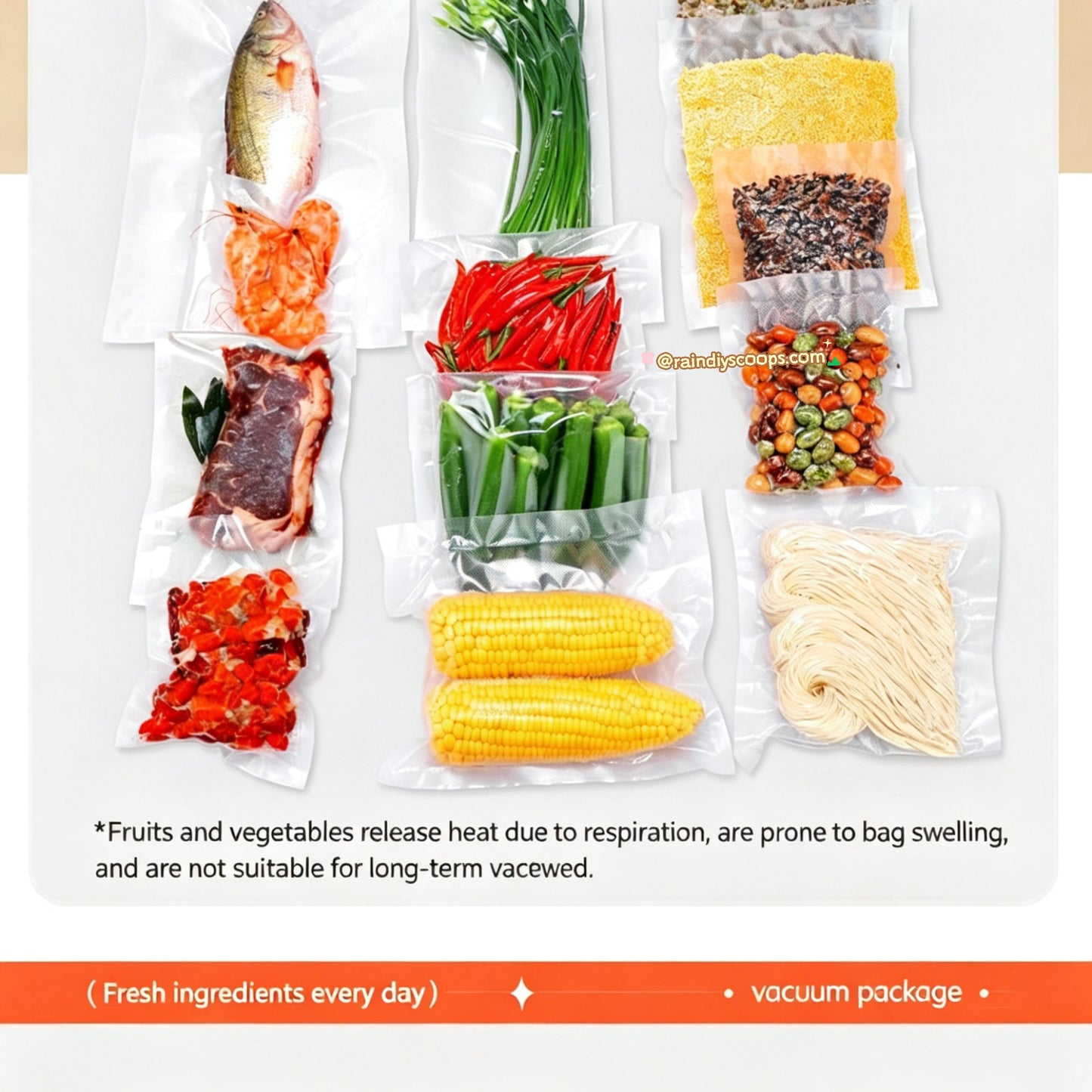 FOOD SEALING MACHINE｜ Multifunctional Vacuum Sealer for Food Preservation
